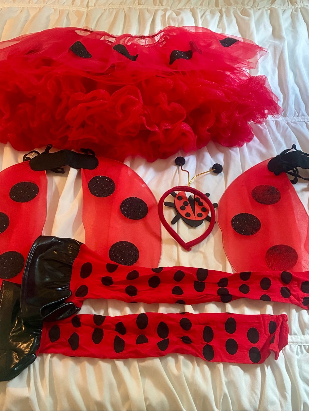 Kids Red Ladybug Costume Set - Tutu, Wings & Accessories